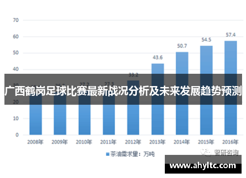 广西鹤岗足球比赛最新战况分析及未来发展趋势预测